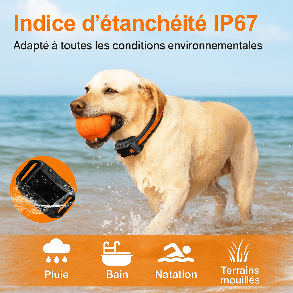 Collier électrique pour chien étanche IP67 – adapté à la pluie, bain, natation et terrains mouillés