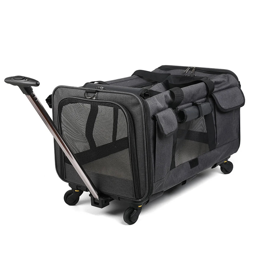 Photo du produit cage de transport pour chien