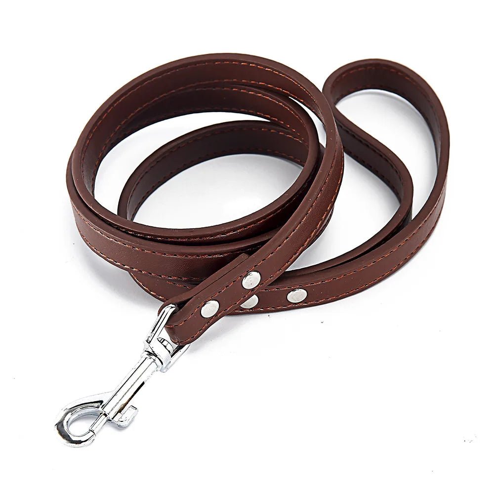 Laisse pour chien en cuir