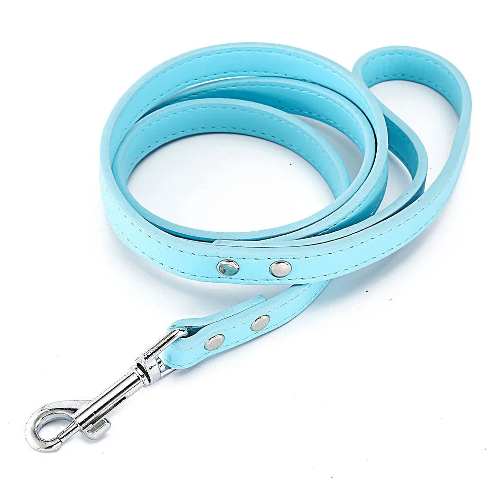 Laisse pour chien en cuir
