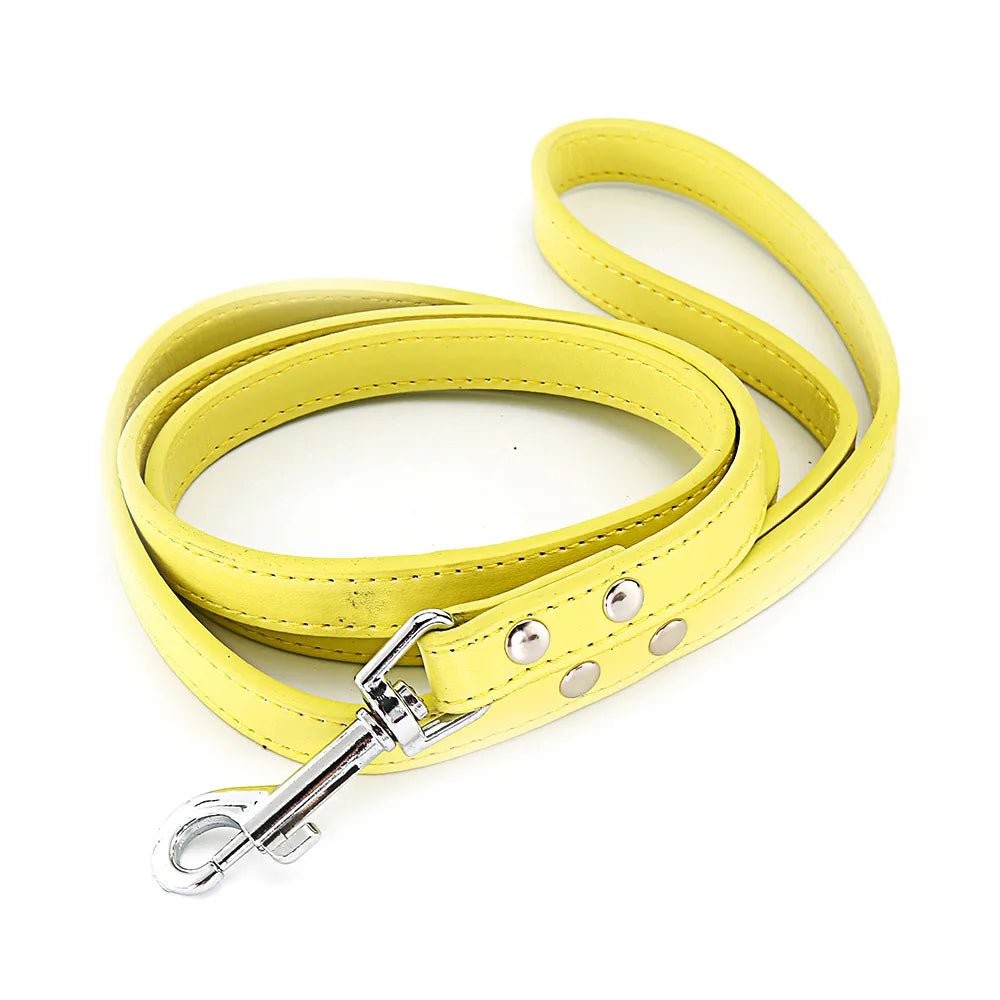 Laisse pour chien en cuir