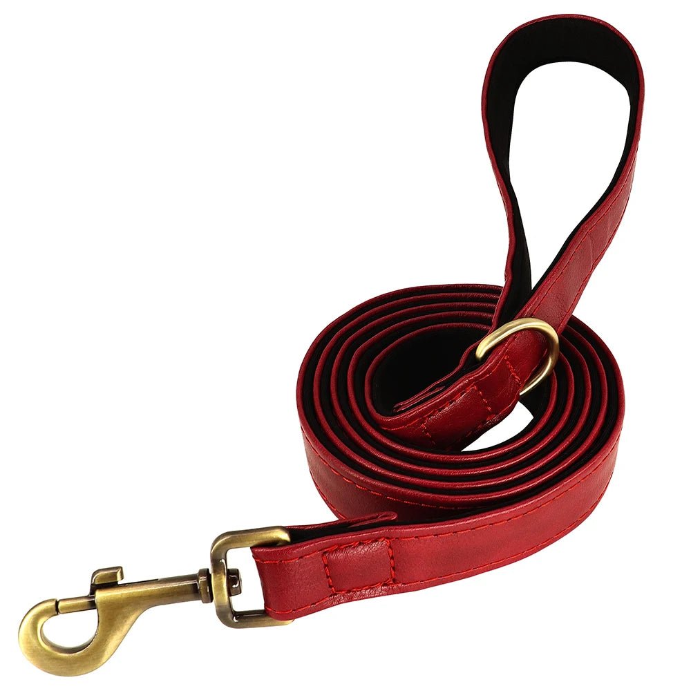 Laisse cuir pour chien