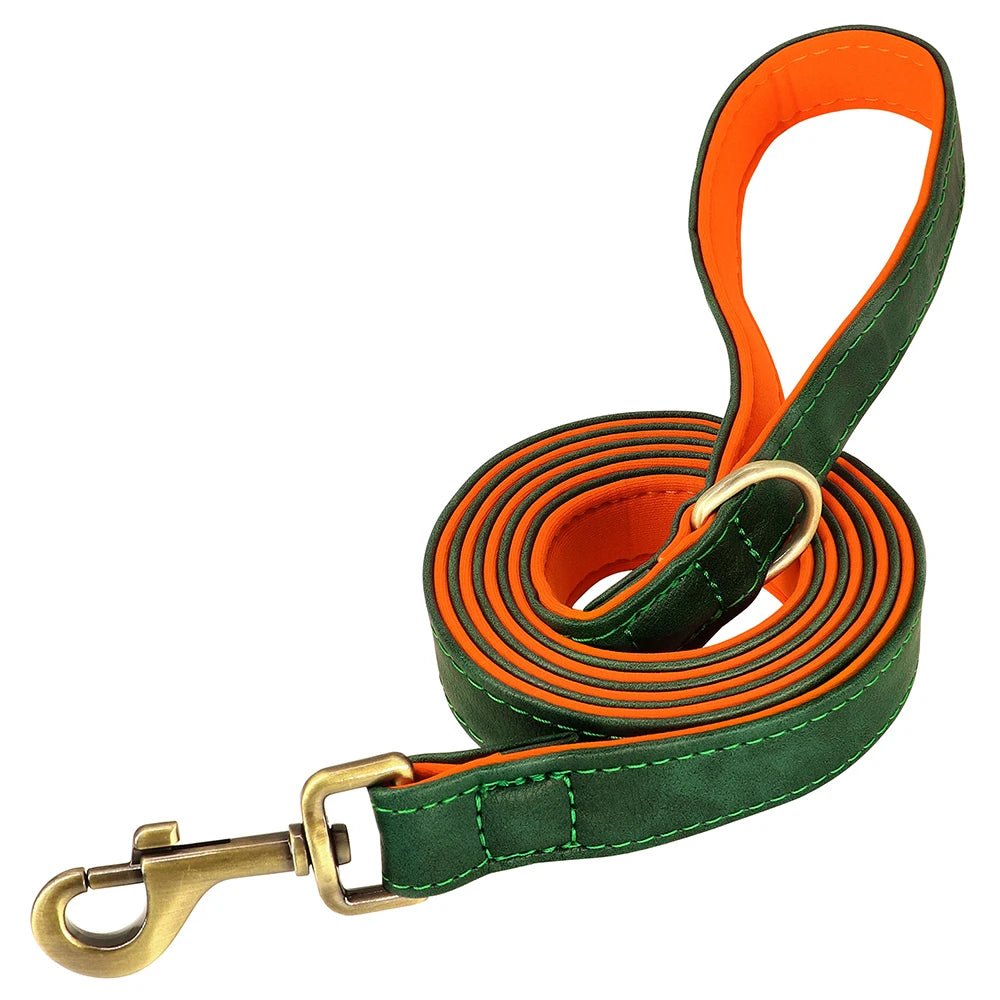 Laisse cuir pour chien
