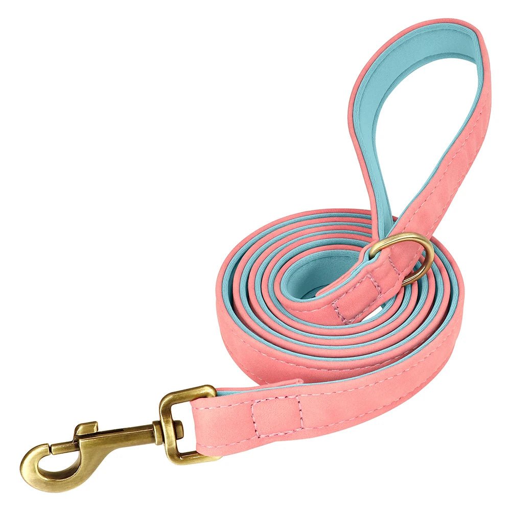 Laisse cuir pour chien