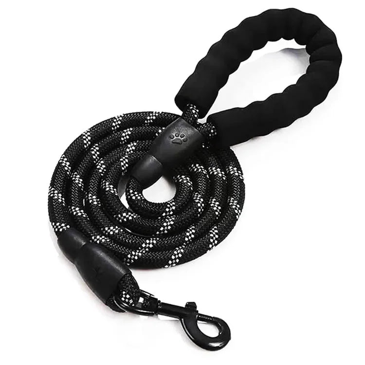 Laisse lasso pour chien