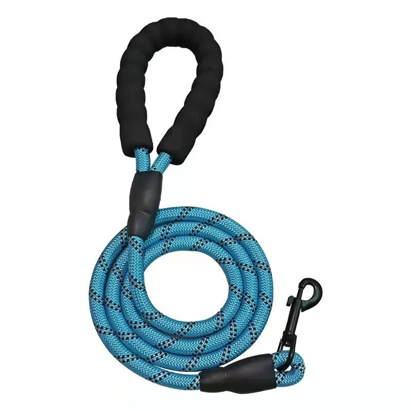 Laisse lasso pour chien