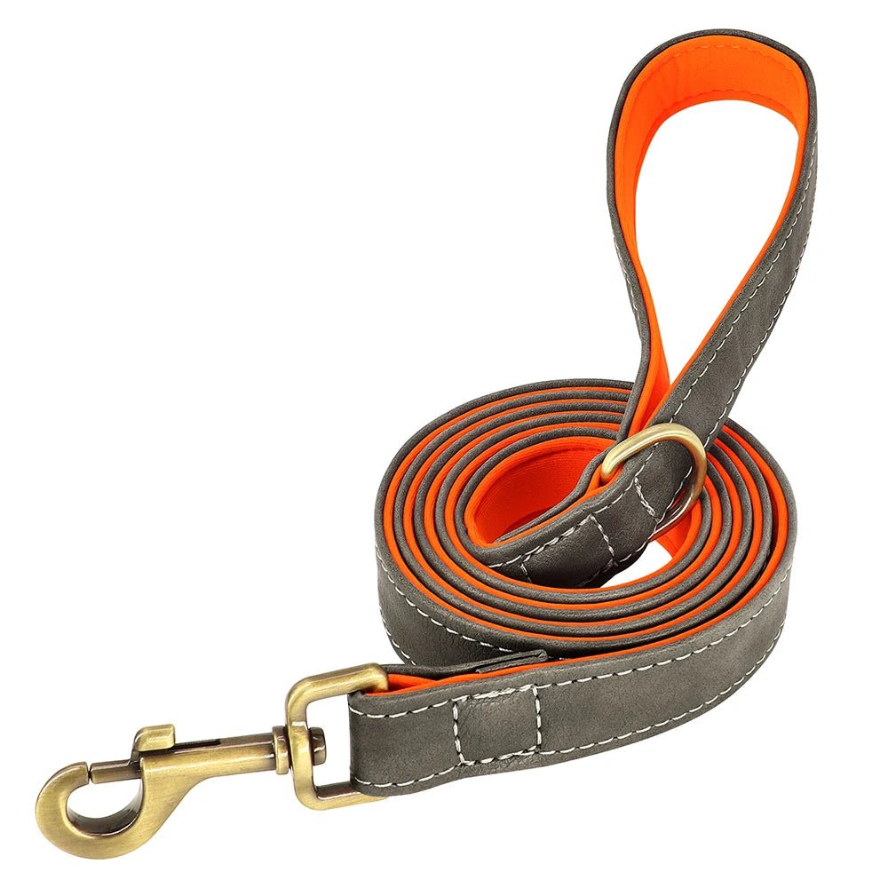 Laisse cuir pour chien
