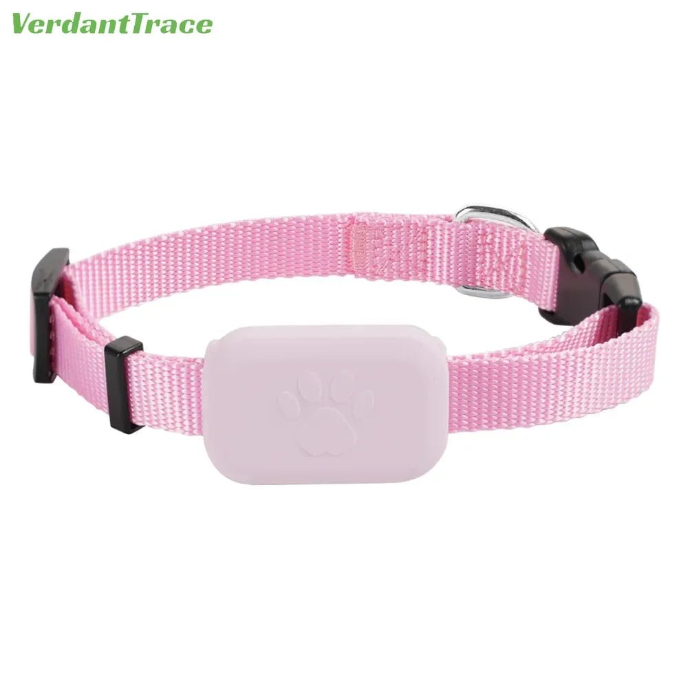 Collier GPS pour chien