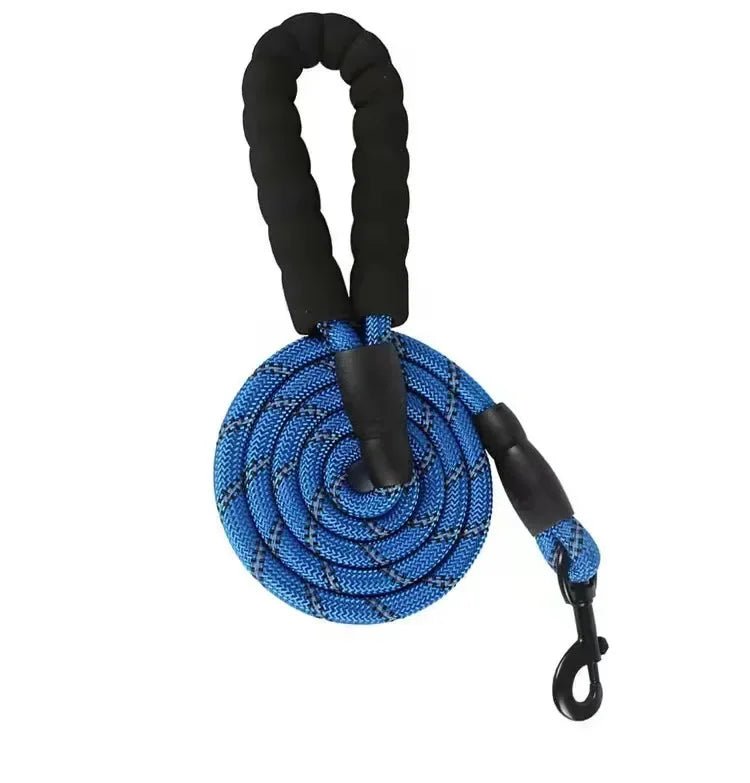 Laisse lasso pour chien