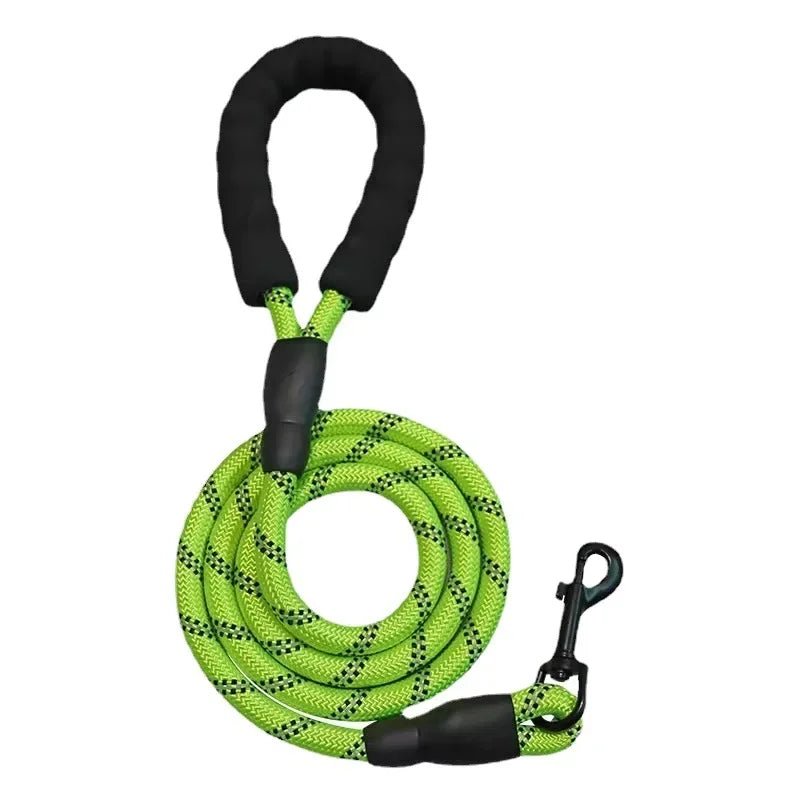 Laisse lasso pour chien