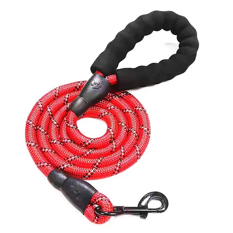 Laisse lasso pour chien