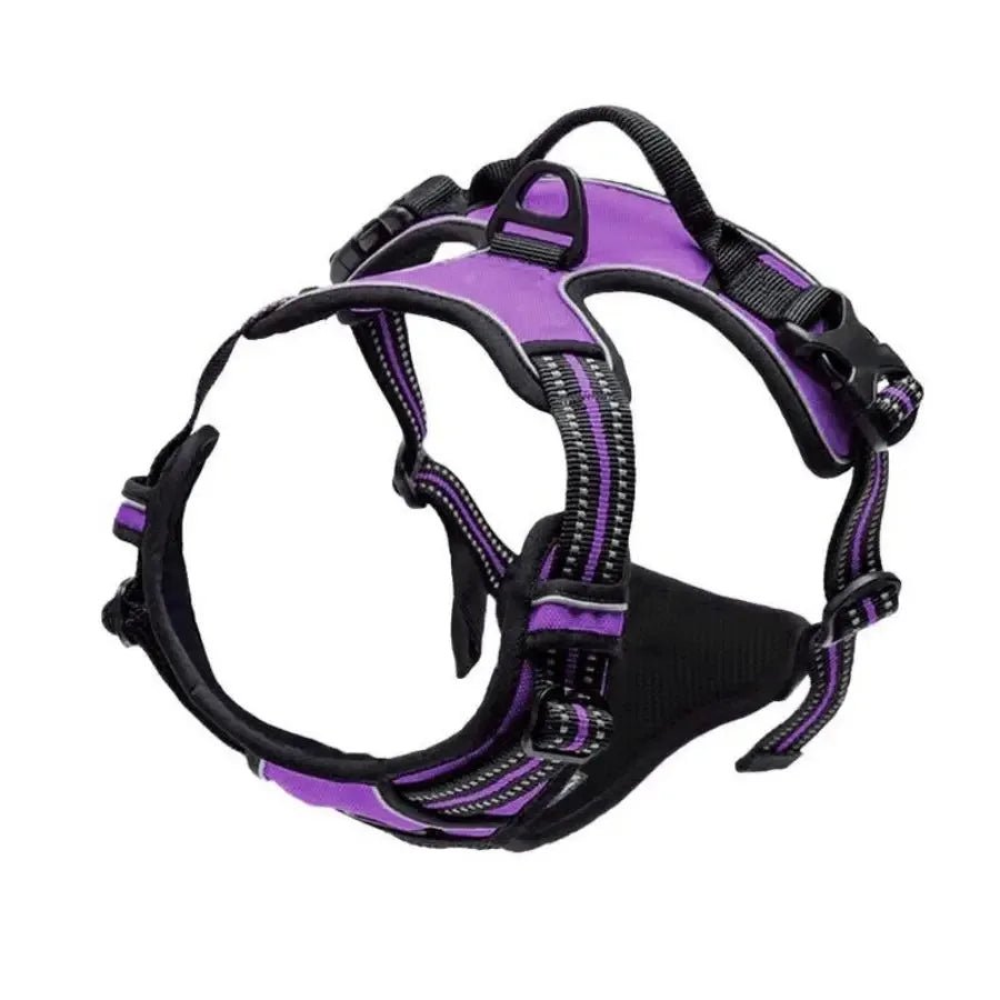 Harnais pour chien - Canidoux