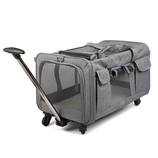 Photo du produit cage de transport pour chien