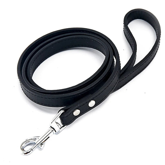 Laisse pour chien en cuir
