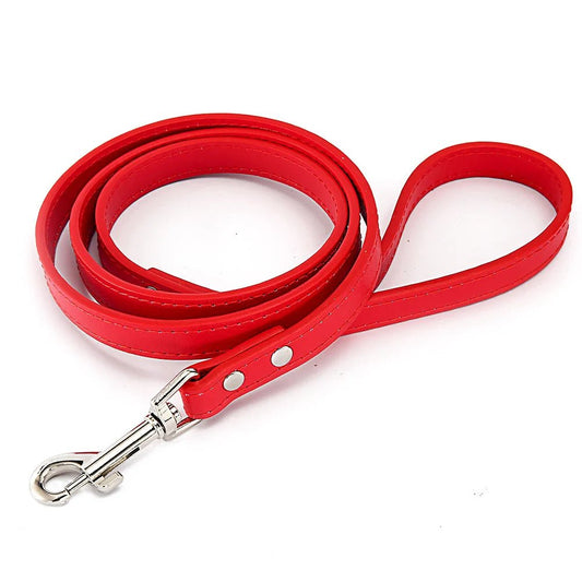 Laisse pour chien en cuir
