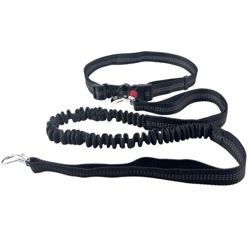 Photo du produit laisse mains libres pour chiens