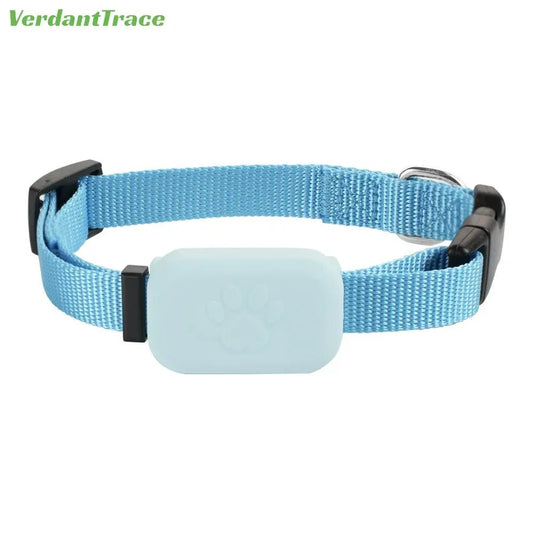 Collier GPS pour chien