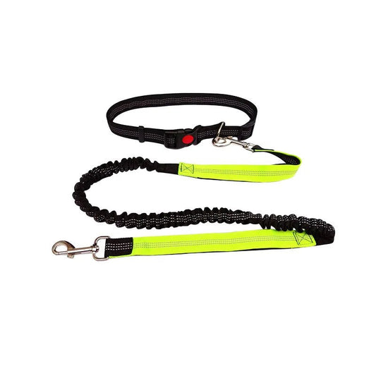 Photo du produit laisse mains libres pour chiens
