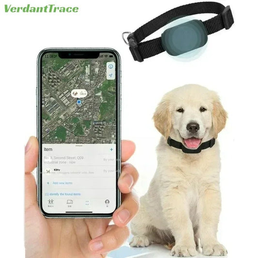 Collier GPS pour chien