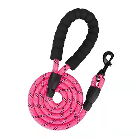Laisse lasso pour chien