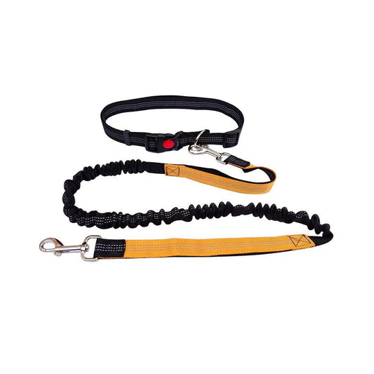 Photo du produit laisse mains libres pour chiens