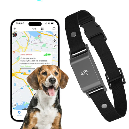 Collier GPS pour chien sans abonnement