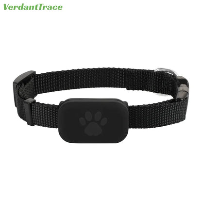 Collier GPS pour chien