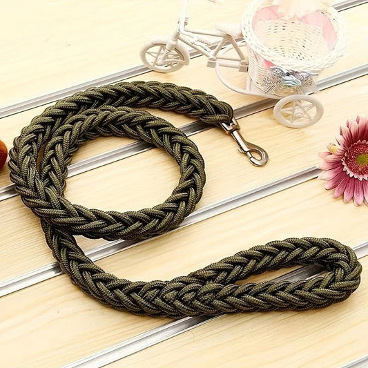 Photo du produit corde laisse pour chien