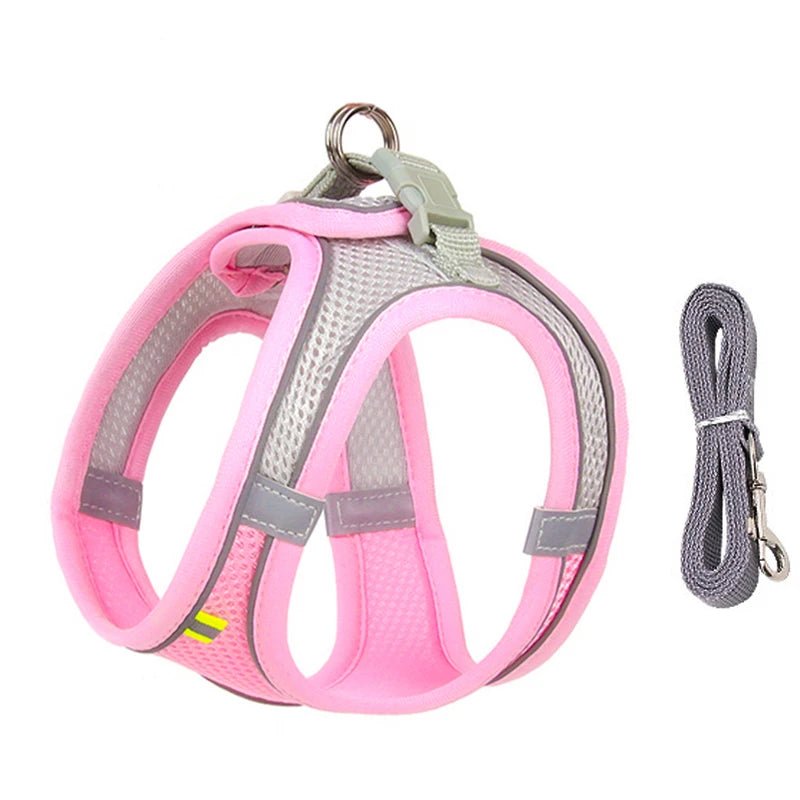 Harnais pour petit chien