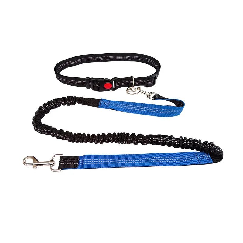 Photo du produit laisse mains libres pour chiens