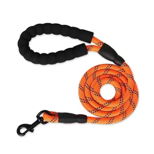 Laisse lasso pour chien